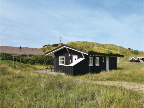 Holiday home Sortebærdalen Ringkøbing